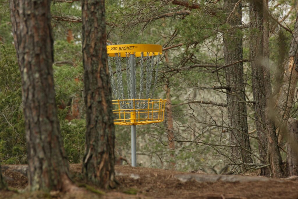 Introduction to Disc Golf